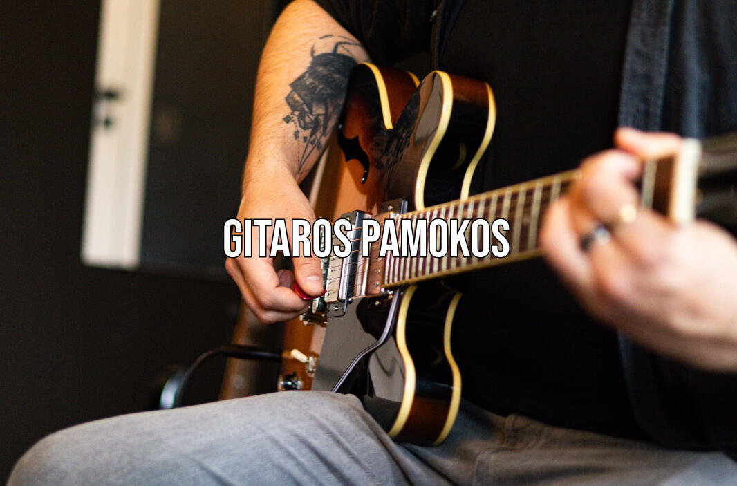 Elektrinės gitaros, boso, akustinės gitaros, ukulėlės pamokos